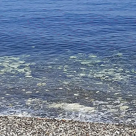 Appartamento Casa Vacanze La Fenice Di Gió Giovinazzo